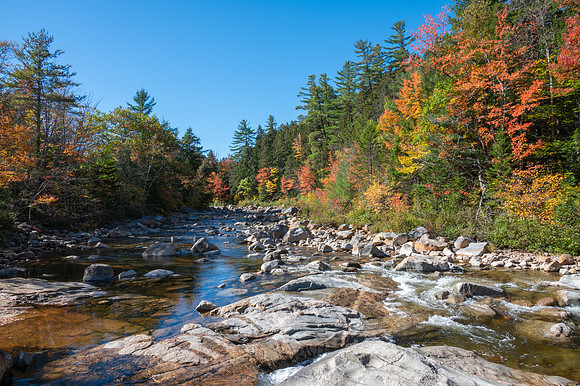 Mount Washington Area