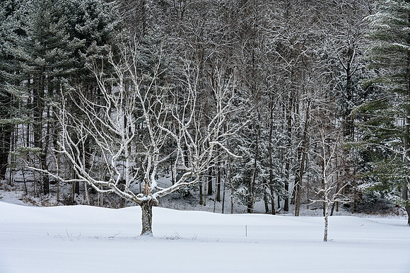 Woodstock VT