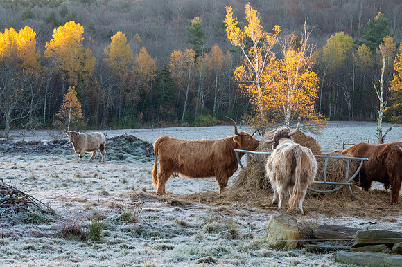 Pomfret, VT