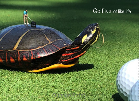 Golf vs. Life