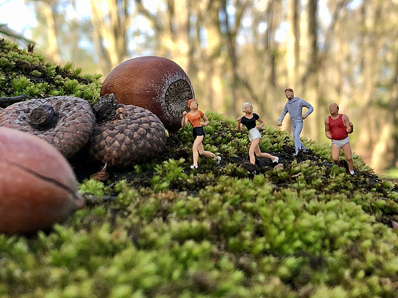On The Run