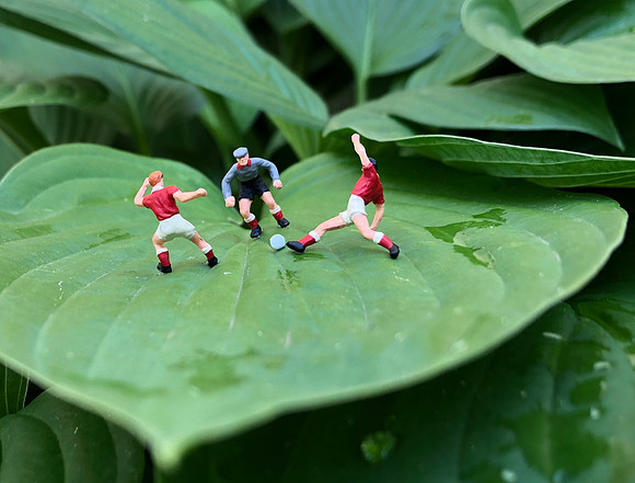 Turf Match
