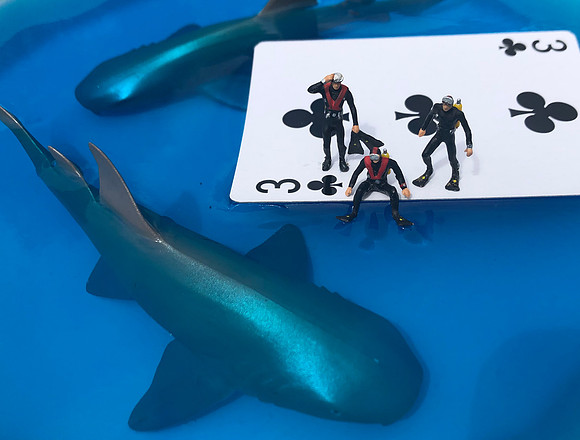 Card Sharks