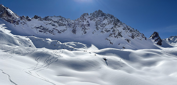 Leaving Tracks