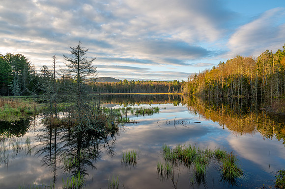Spectacel Pond, NH