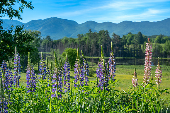 Sugar Hill, NH