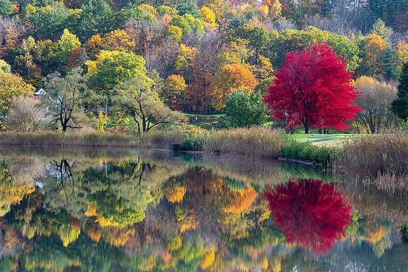 Quechee, VT