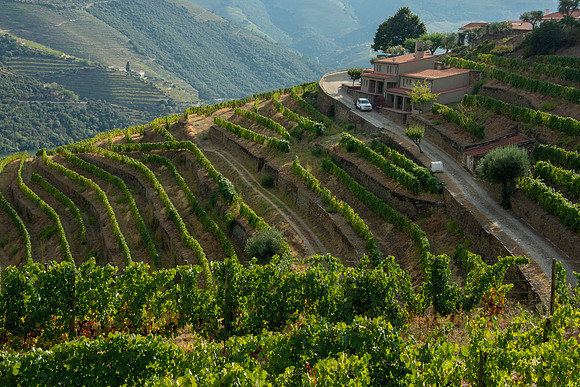 Duro Valley, Portugal