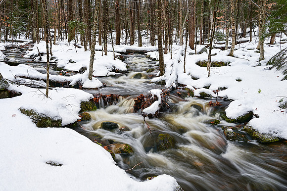 Collette's Trail, Enfield, NH