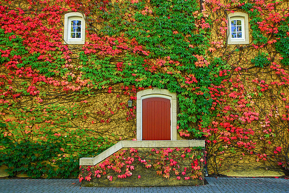 Napa, CA