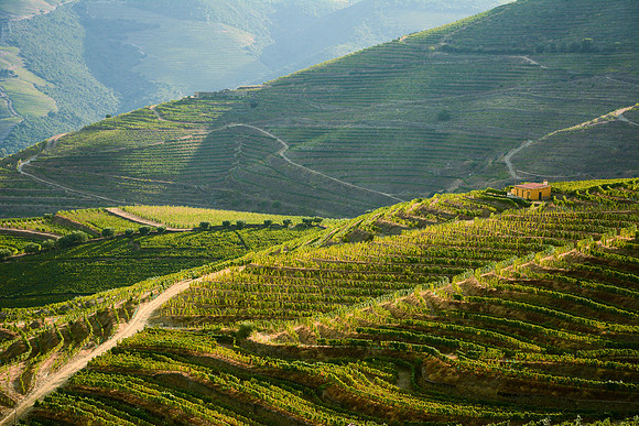 DOURO VALLEY, PORTUGAL