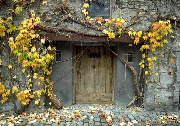 ARDENNES, BELGIUM