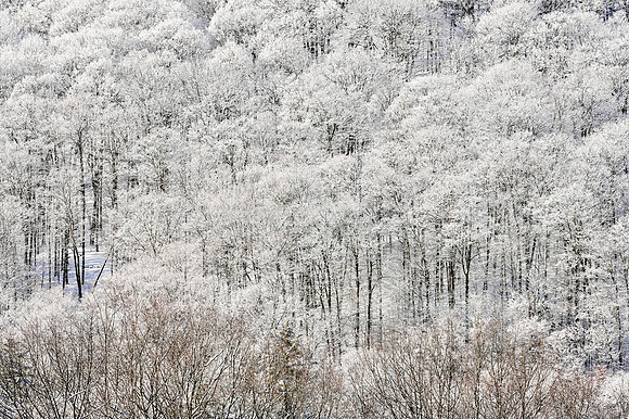 Pomfret, VT
