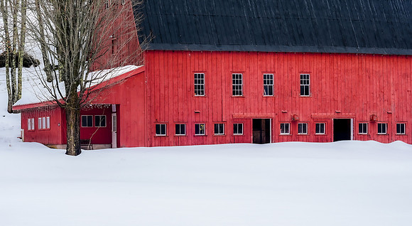 Somewhere in VT
